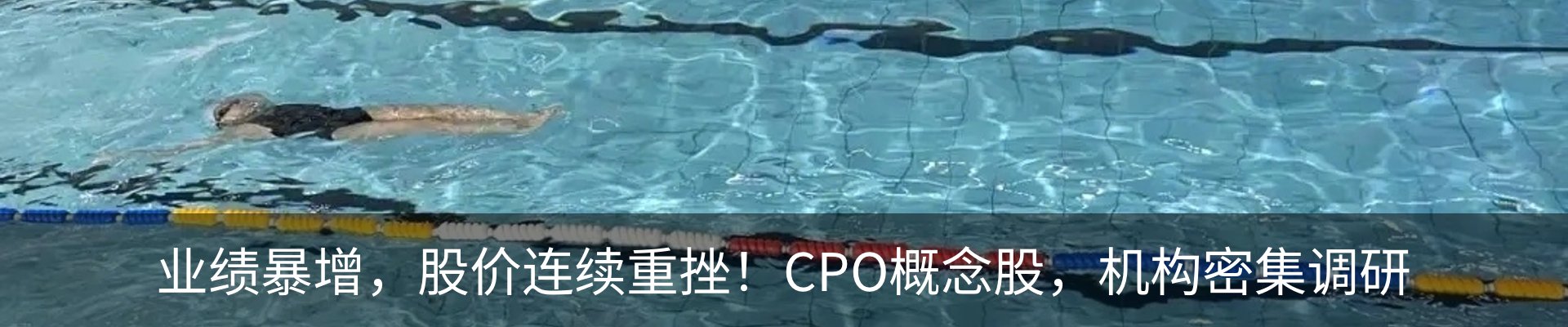 行业资讯