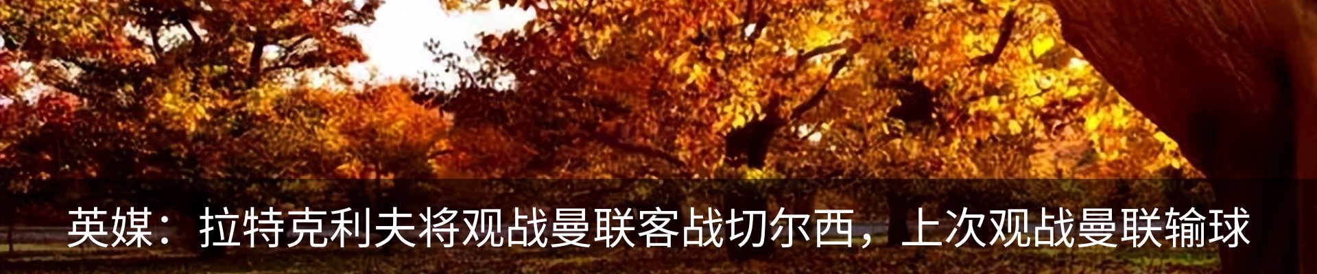 行业资讯