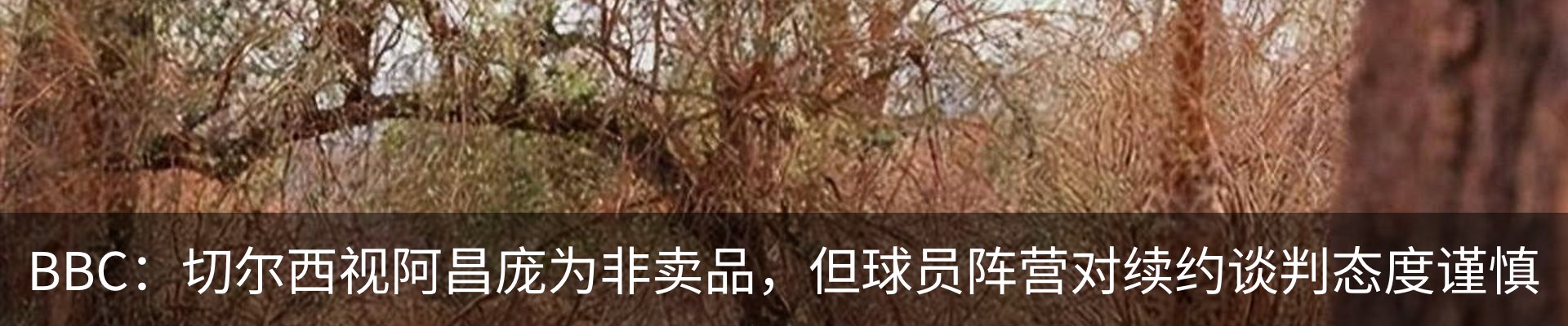行业资讯