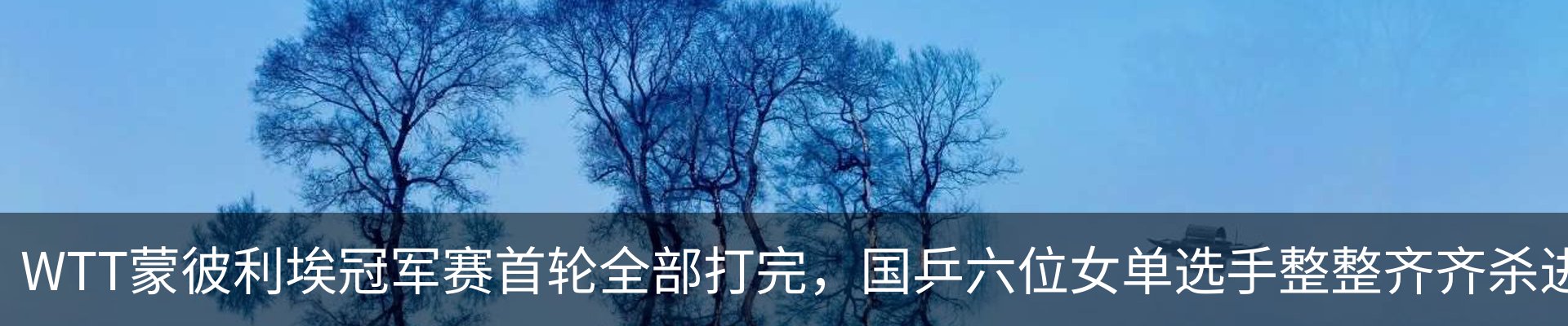 行业资讯